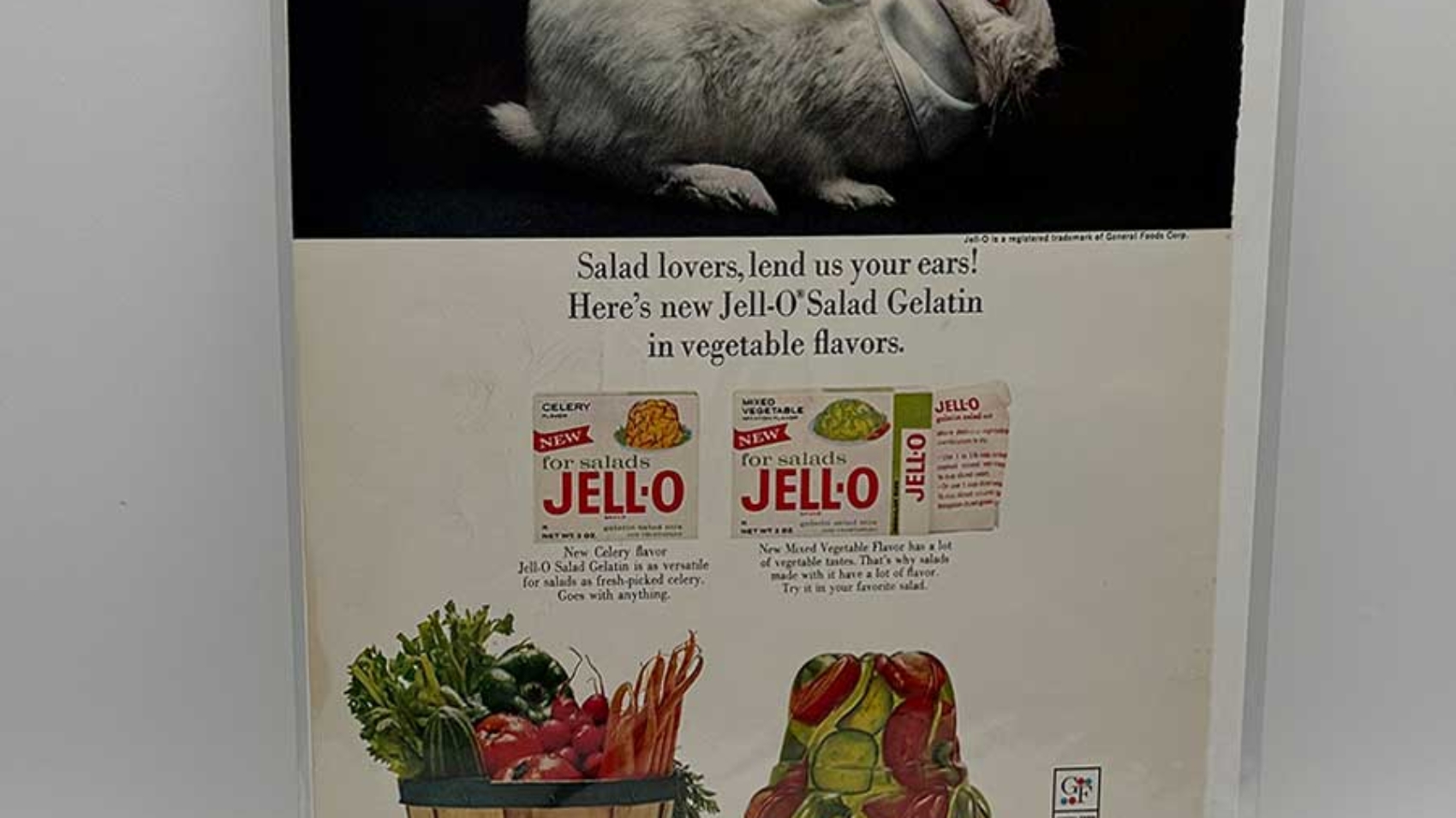 Jello_new2