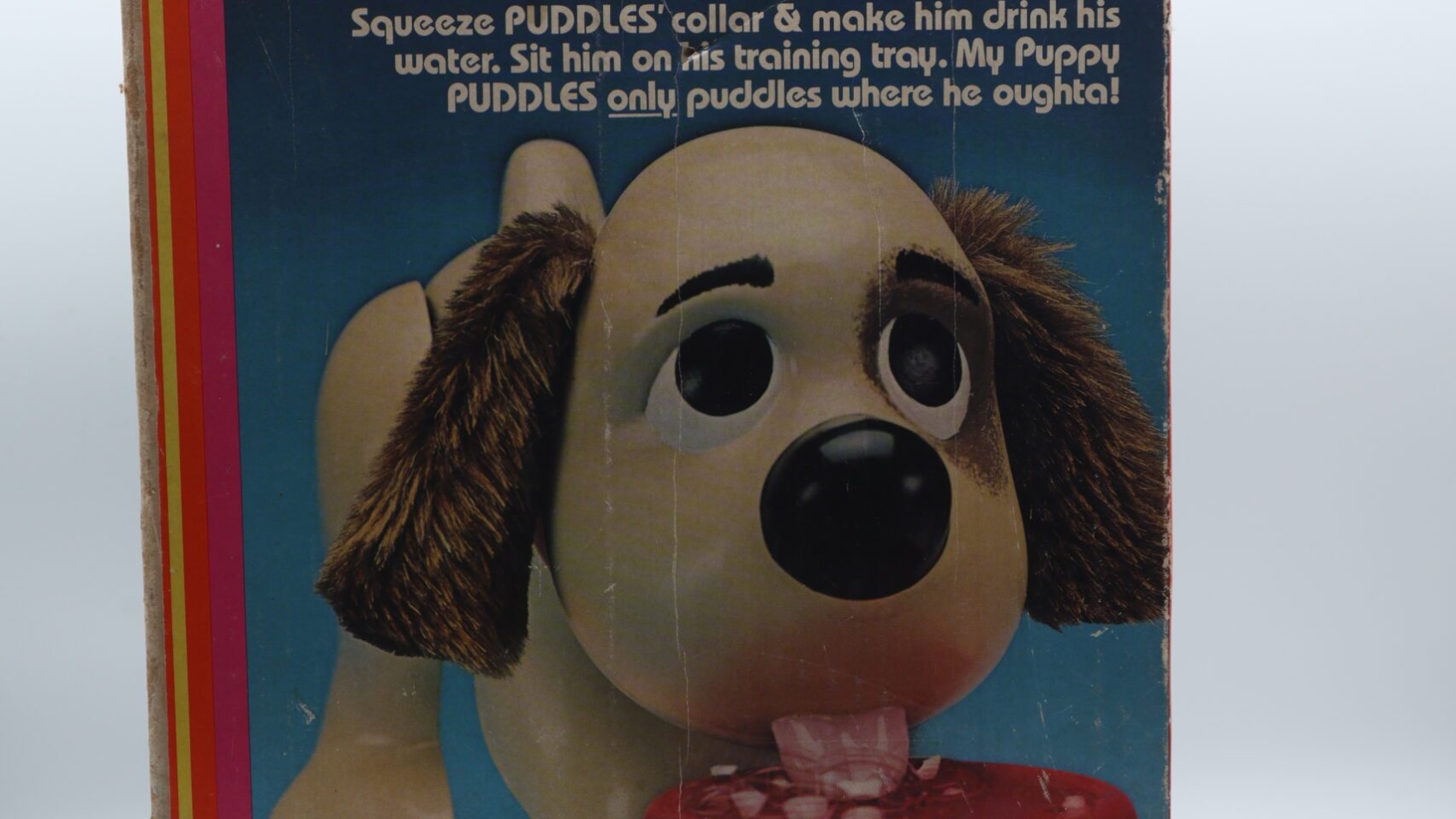 Puppy